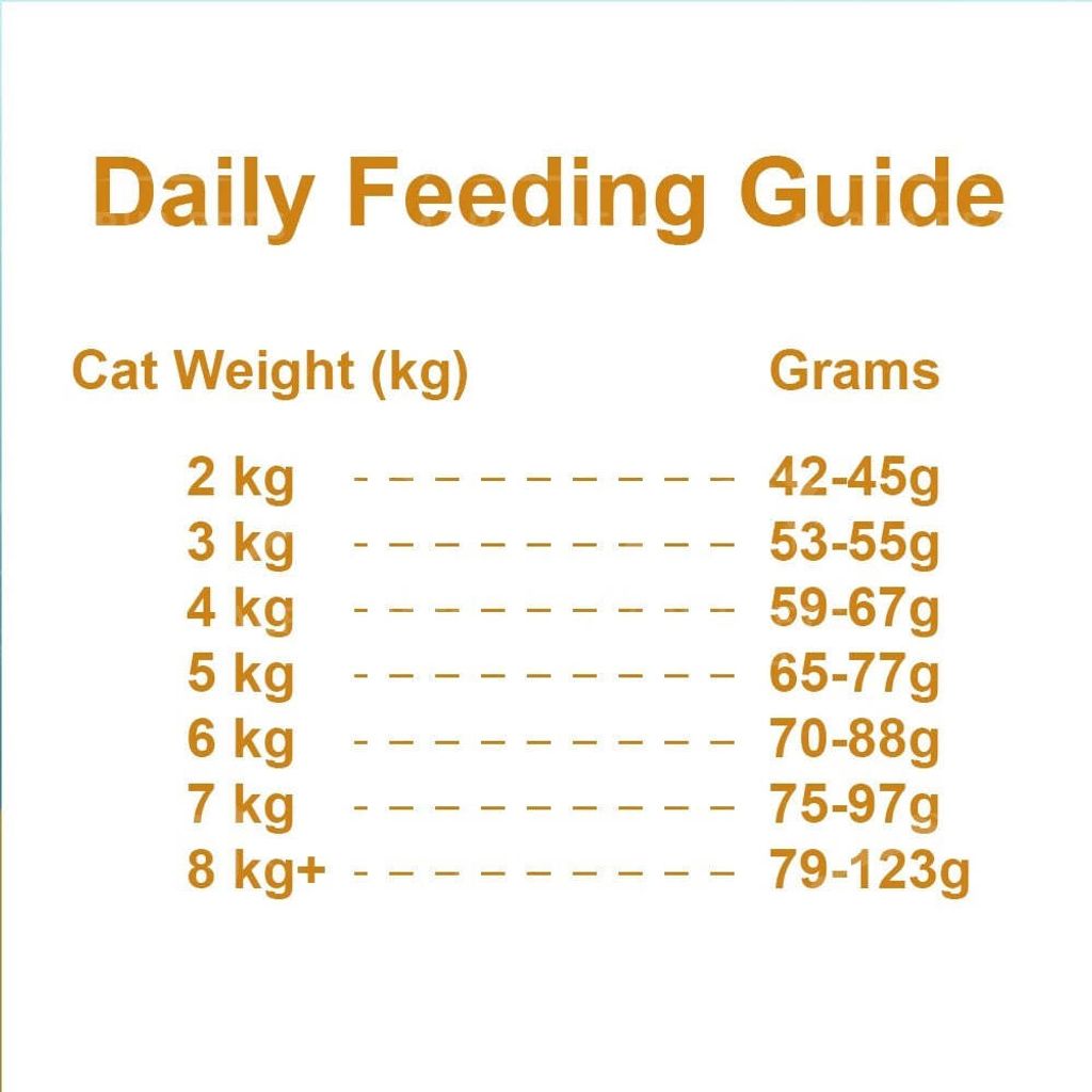photo_2025-04-21_16-09-21