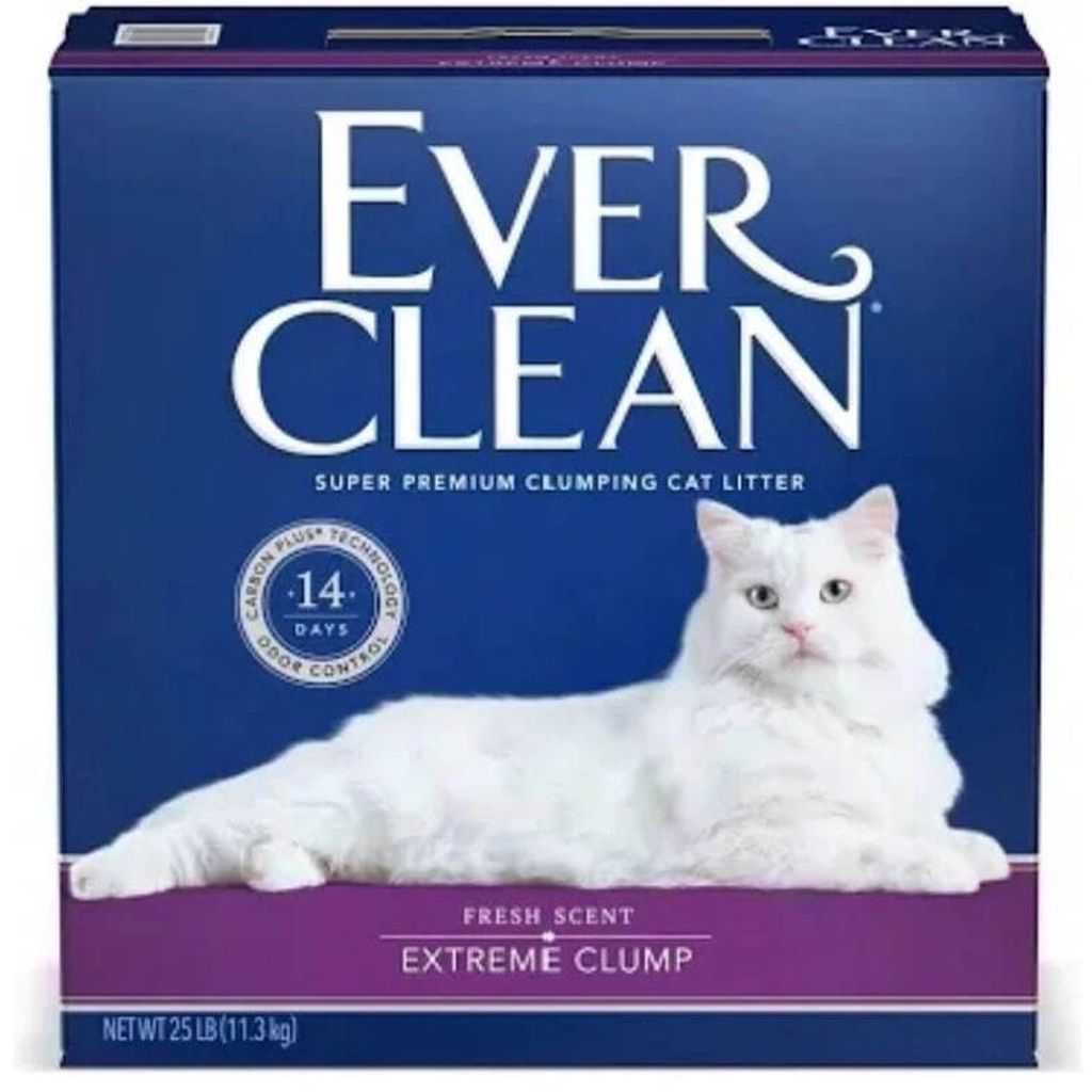 photo_2025-04-21_16-19-13