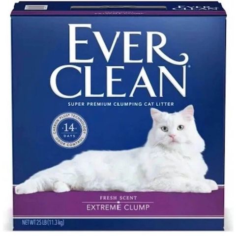 photo_2025-04-21_16-19-13