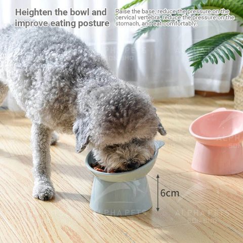 photo_2025-04-21_16-29-17