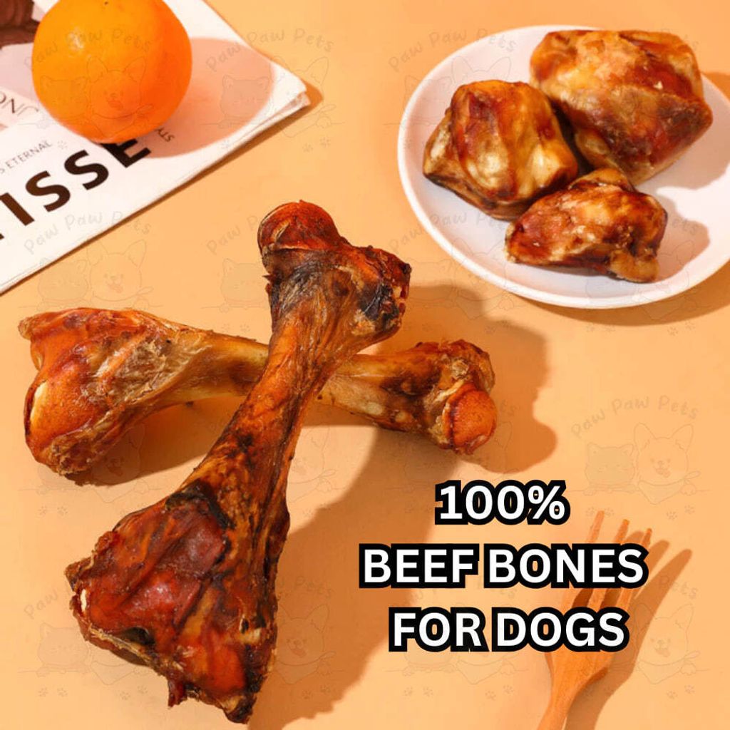 photo_2025-05-20_12-54-42