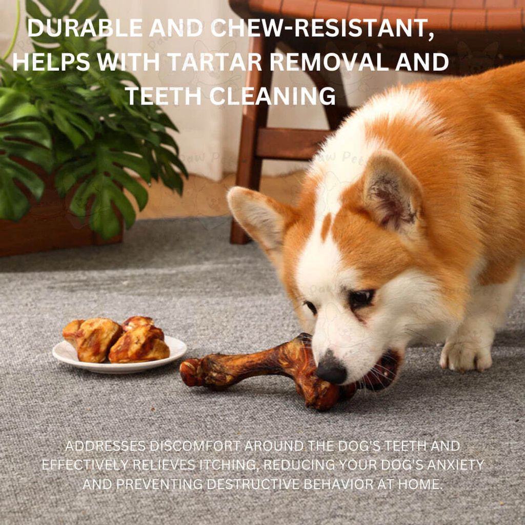 photo_2025-05-20_12-54-48