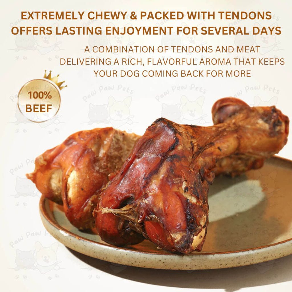 photo_2025-05-20_12-54-51