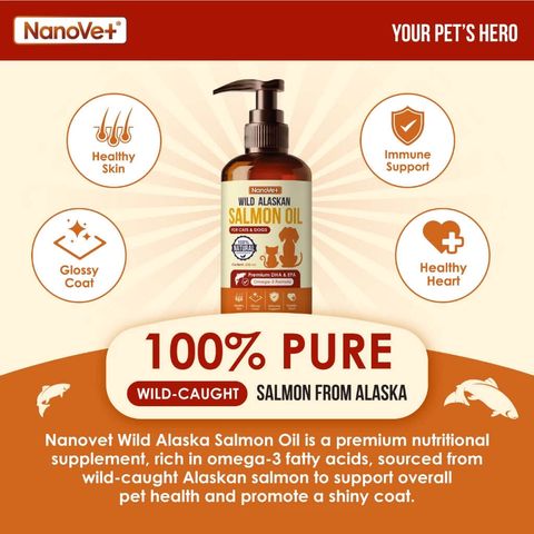 photo_2025-05-20_12-59-21