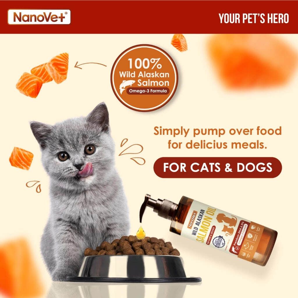 photo_2025-05-20_12-59-24