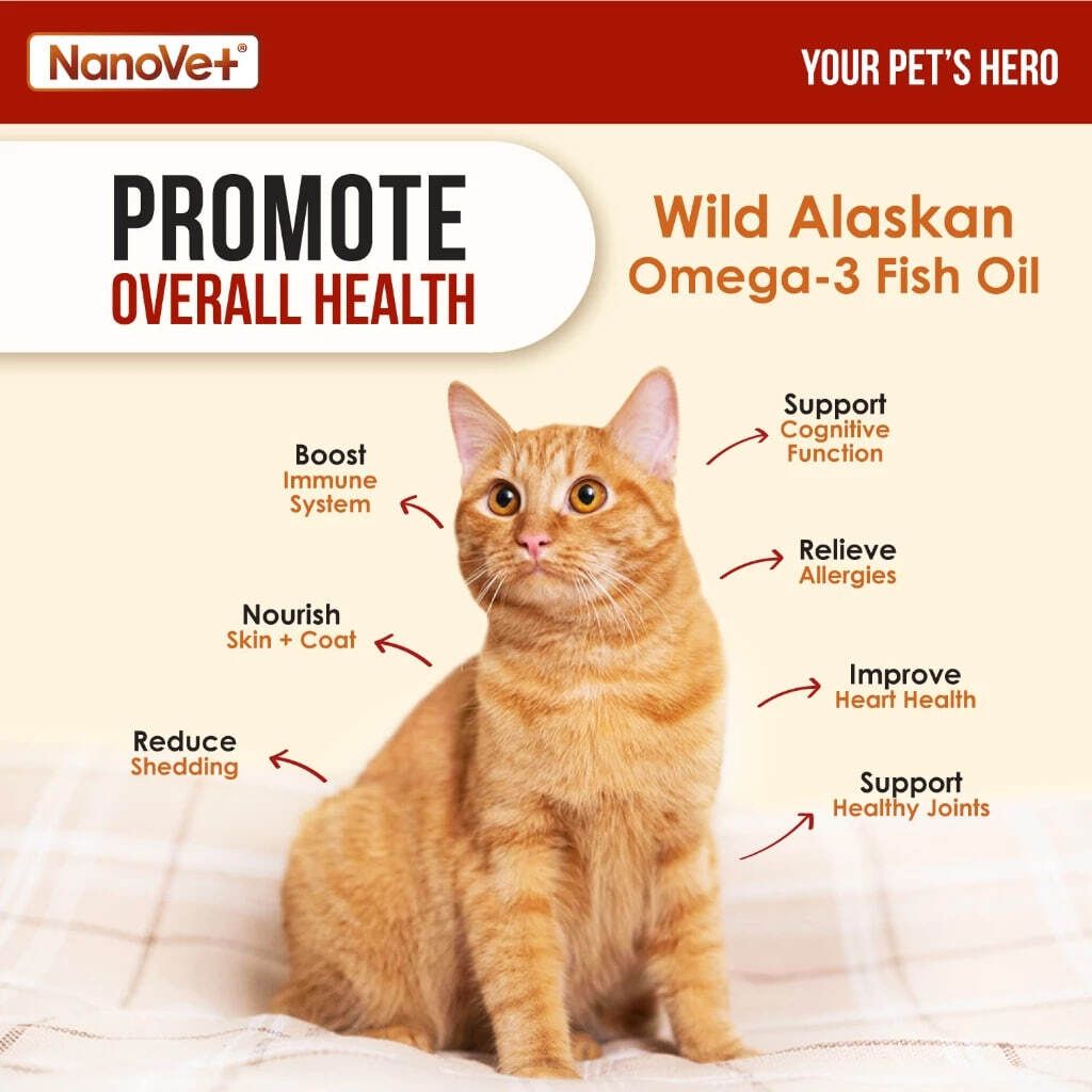 photo_2025-05-20_12-59-30