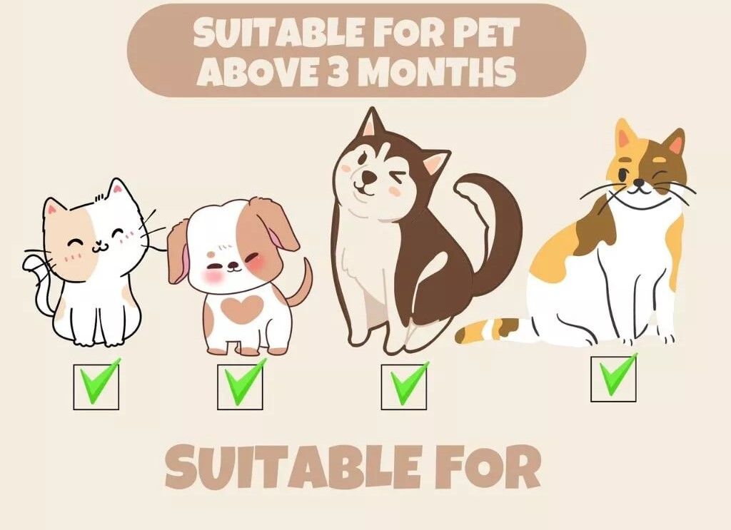 photo_2025-05-20_13-03-45