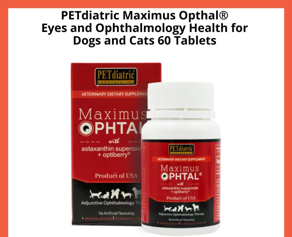 photo_2025-05-20_13-11-51