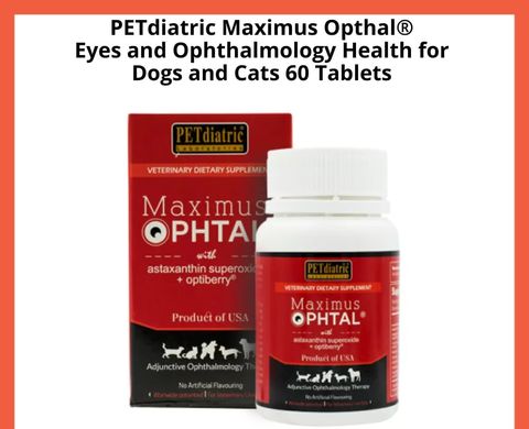 photo_2025-05-20_13-11-51