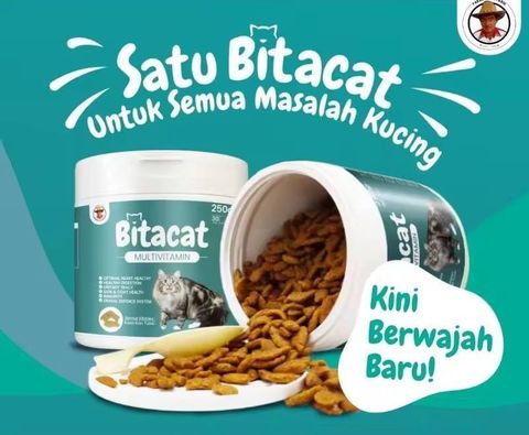 photo_2025-08-11_14-23-45 (2)