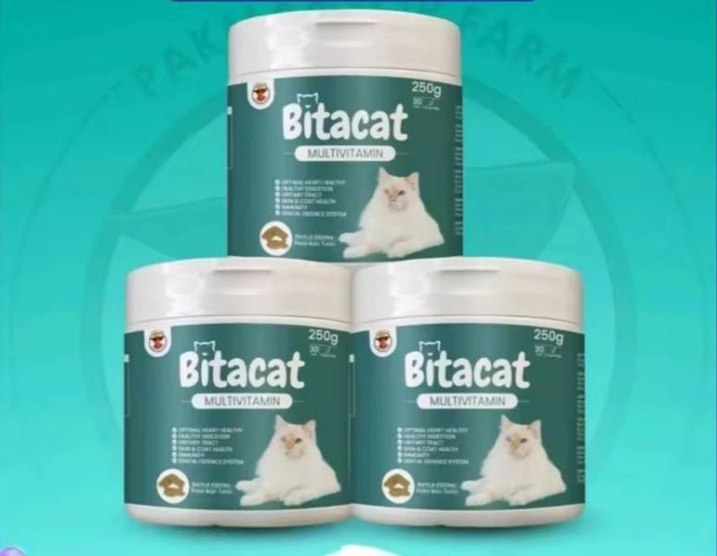 photo_2025-08-11_14-23-45 (3)