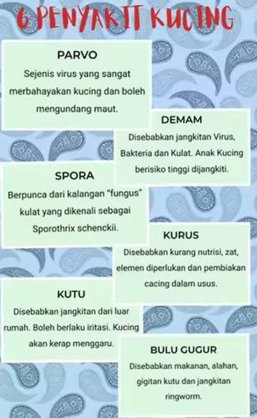 photo_2025-08-11_14-23-45