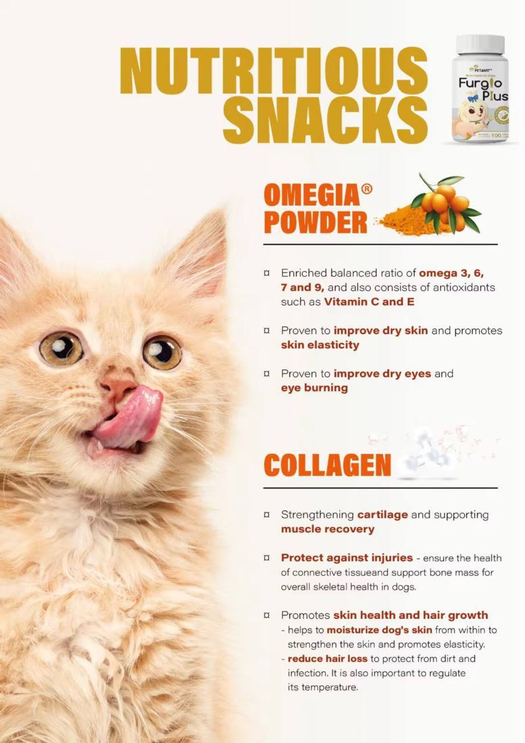 photo_2025-08-11_14-45-21