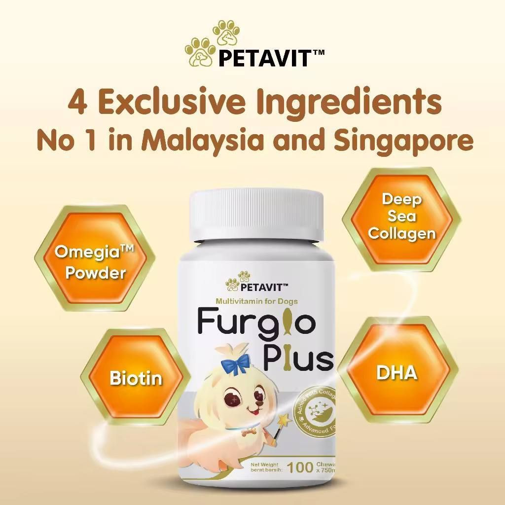 photo_2025-08-11_14-42-25 (3)