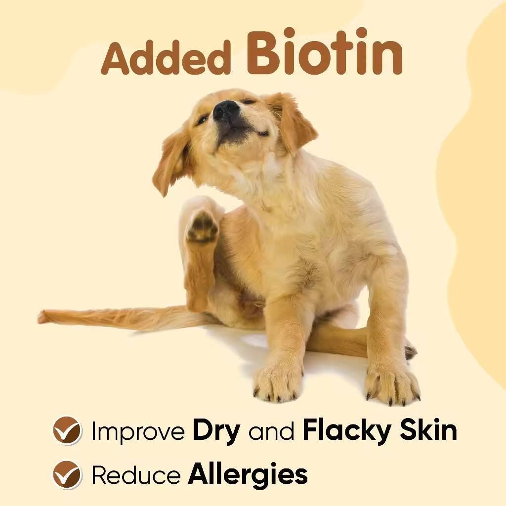 photo_2025-08-11_14-42-25 (2)