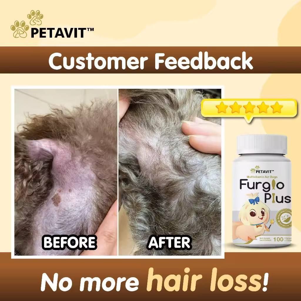 photo_2025-08-11_14-42-24