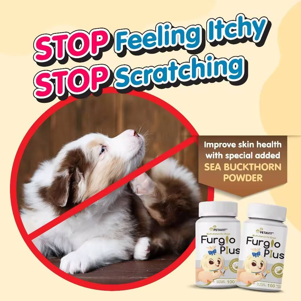 photo_2025-08-11_14-42-25