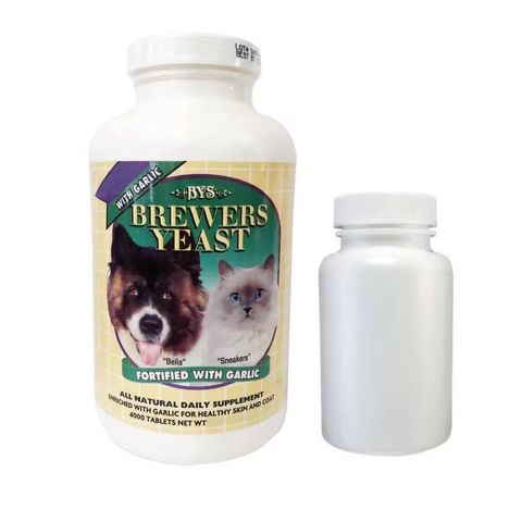 photo_2025-08-11_14-58-54