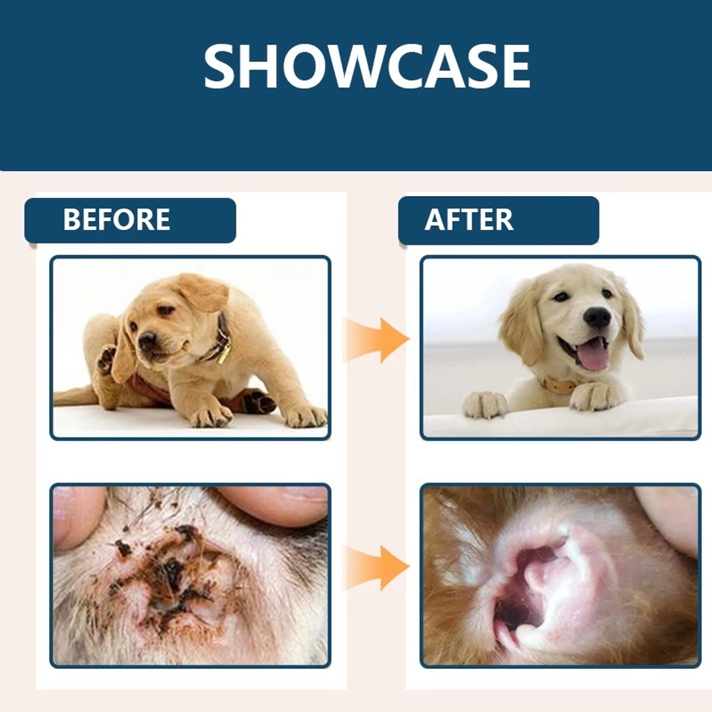 image_2025-08-11_18-33-13