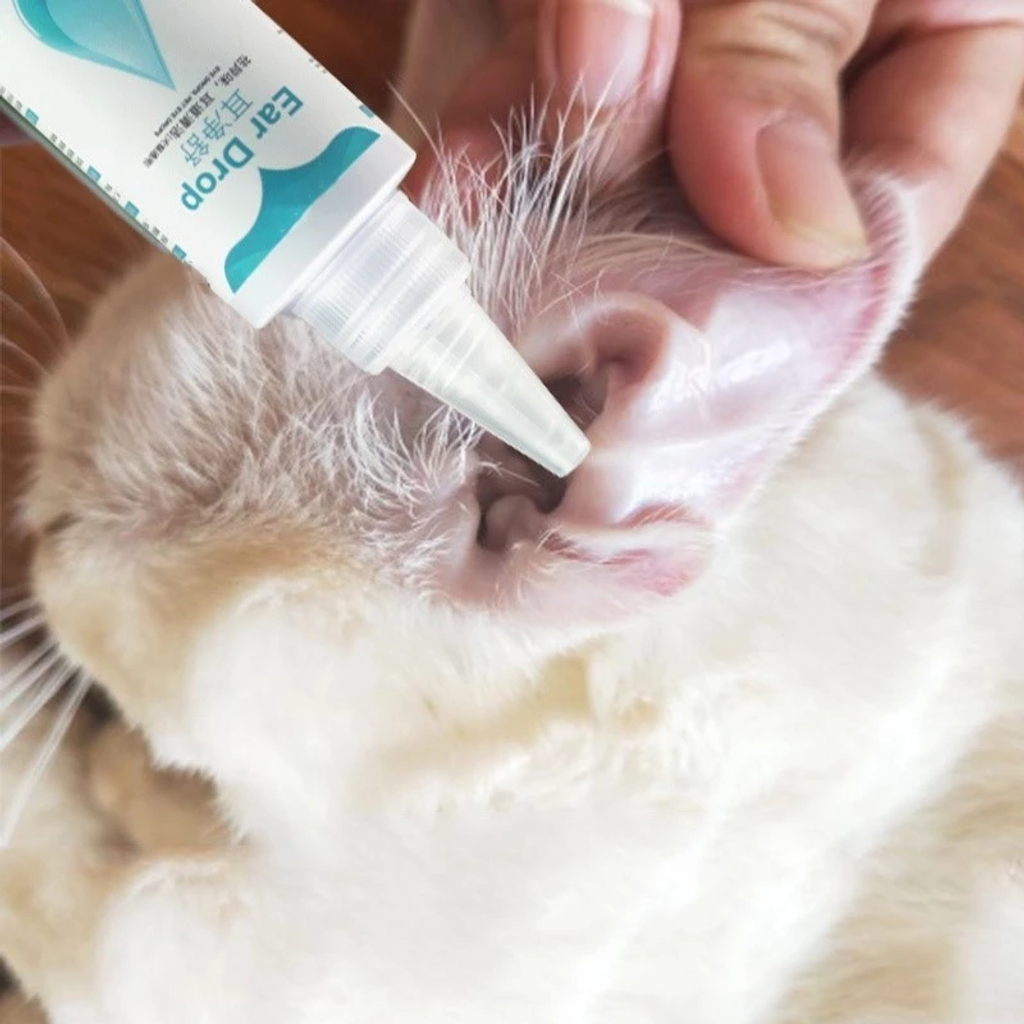 image_2025-08-11_18-33-06