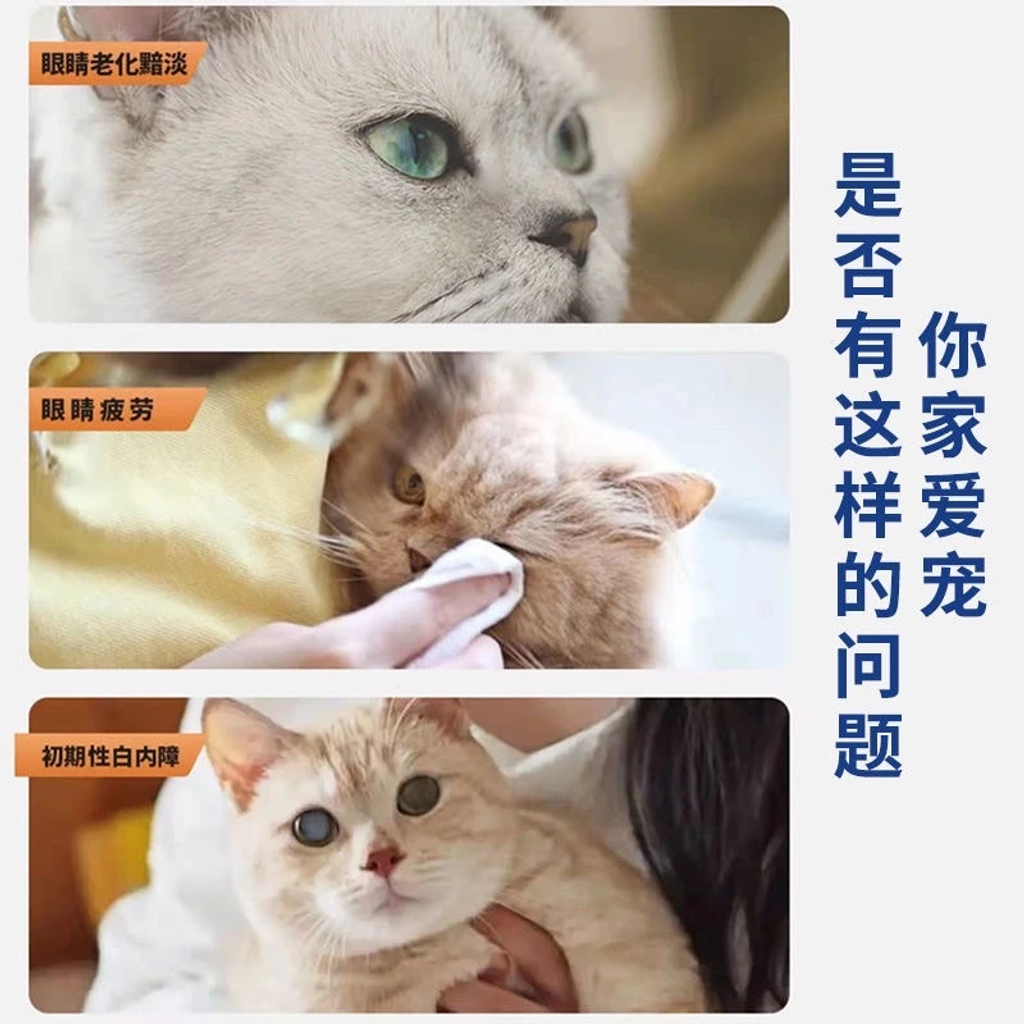 image_2025-08-11_18-52-20