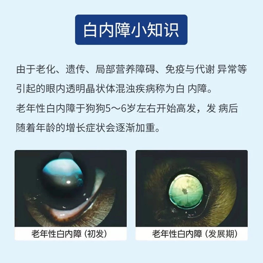 image_2025-08-11_18-52-25