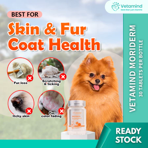 image_2025-08-11_21-52-35