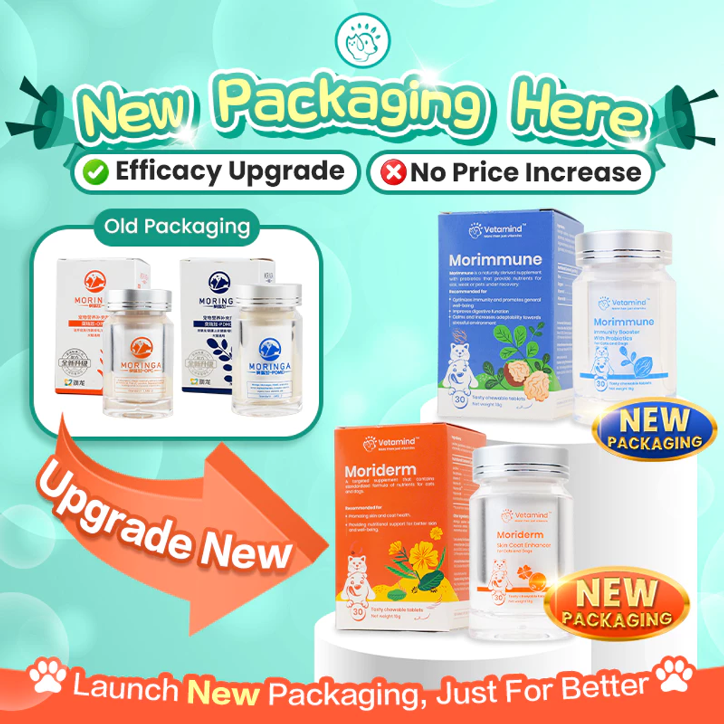 image_2025-08-11_21-52-42