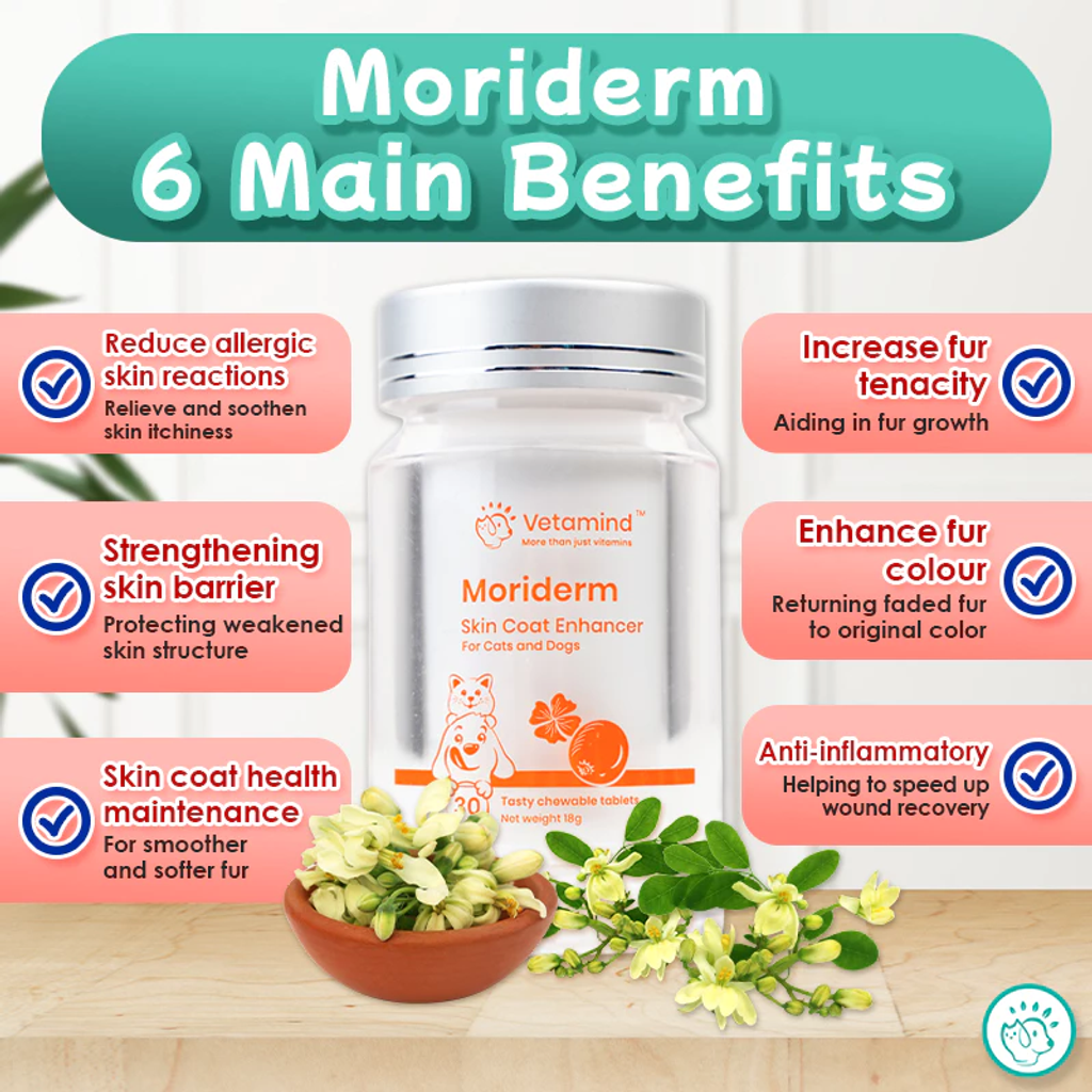 image_2025-08-11_21-52-48