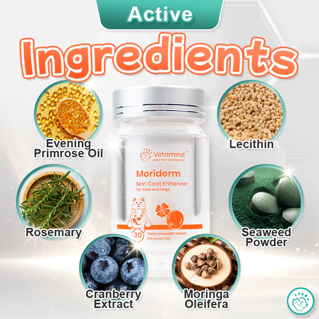 image_2025-08-11_21-52-58