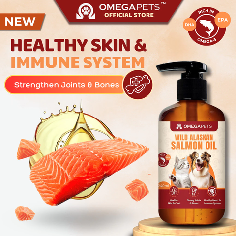 image_2025-08-11_22-15-45