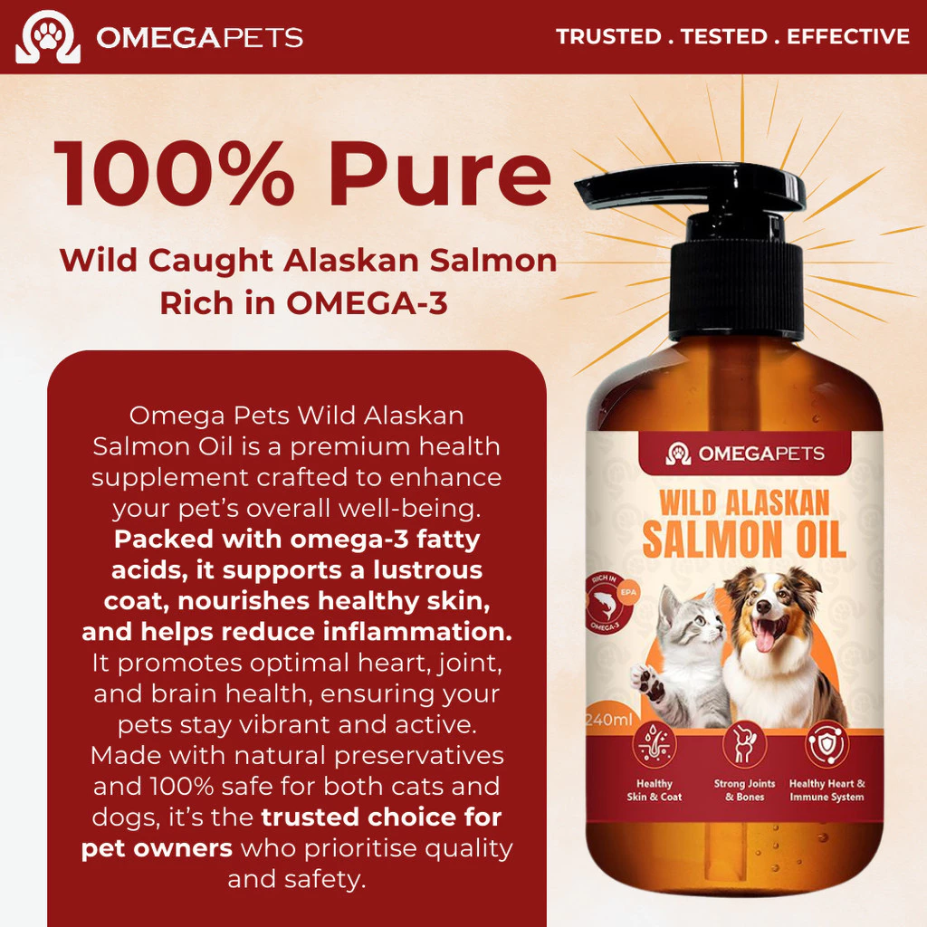 image_2025-08-11_22-15-54