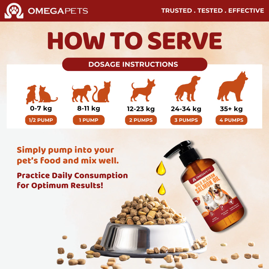 image_2025-08-11_22-16-01