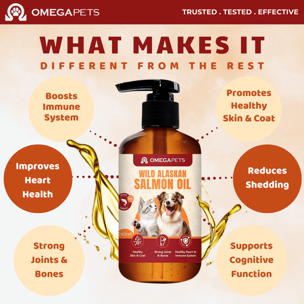 image_2025-08-11_22-16-07