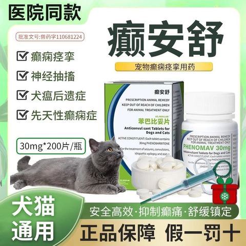 image_2025-08-11_22-23-33