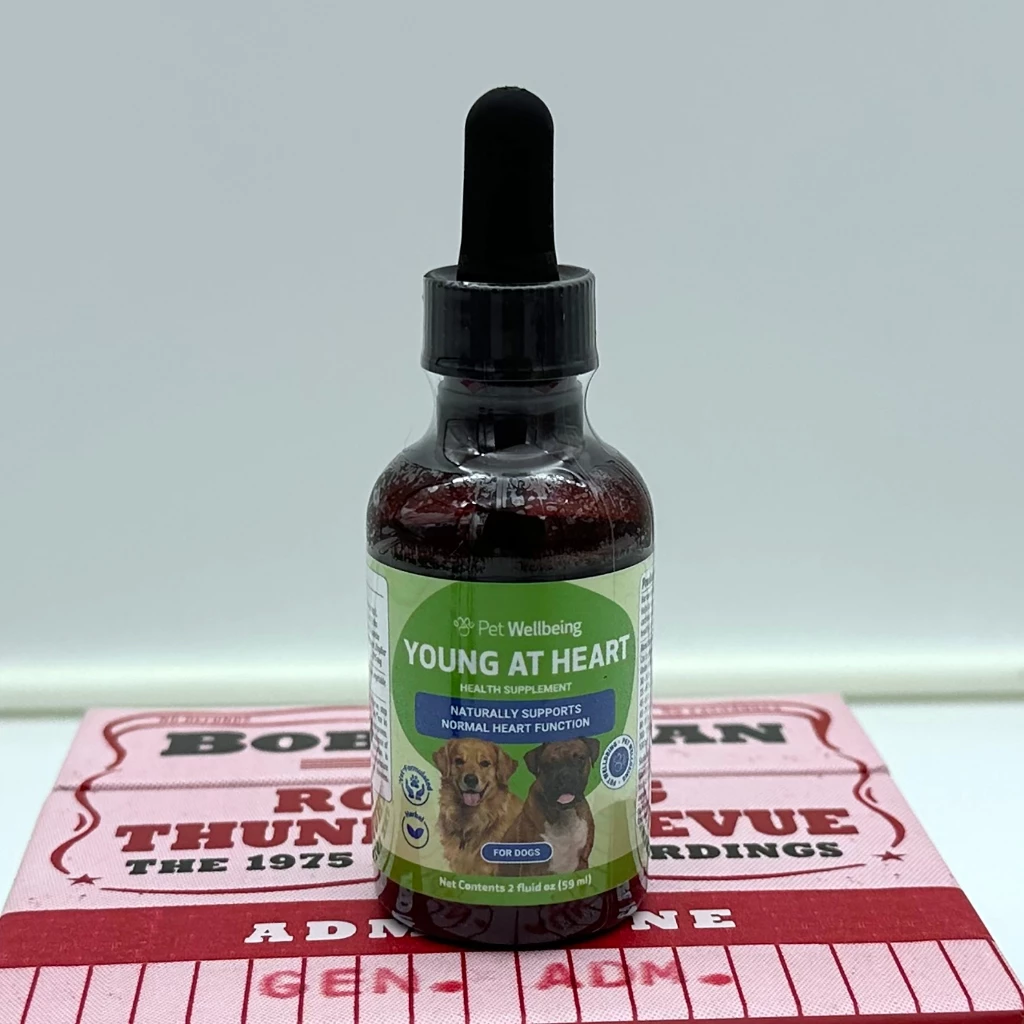 image_2025-08-11_22-33-37