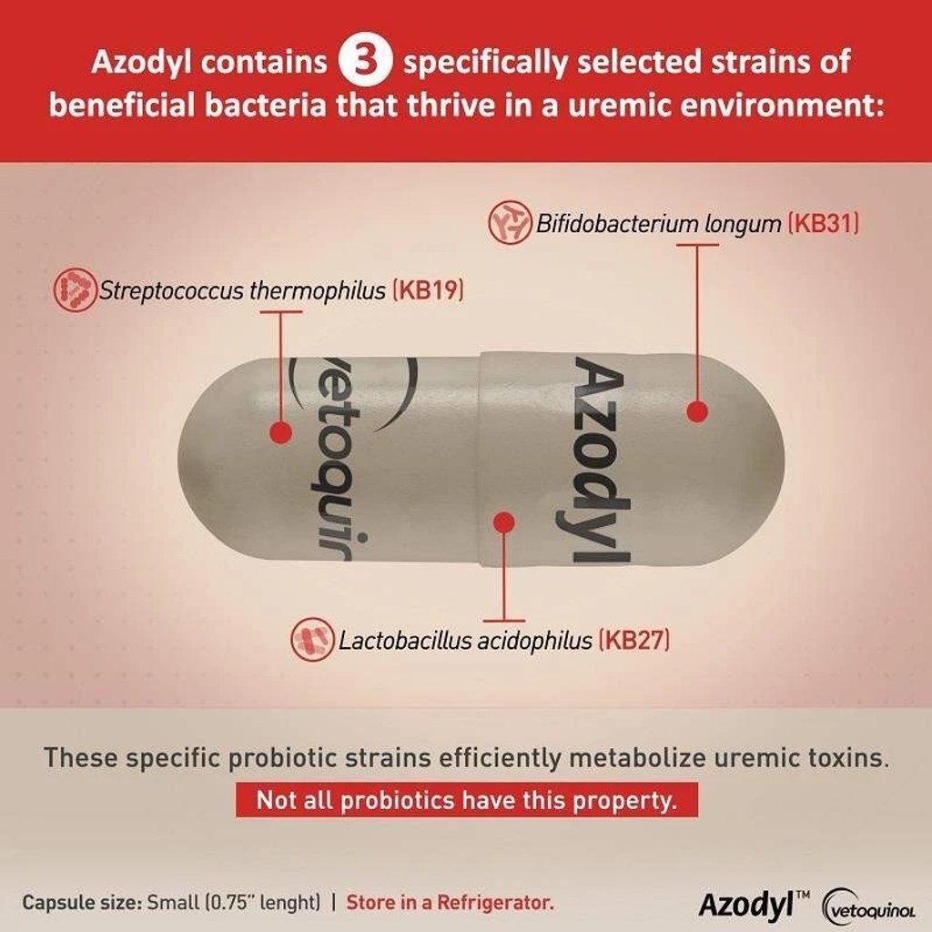 image_2025-08-11_22-48-14