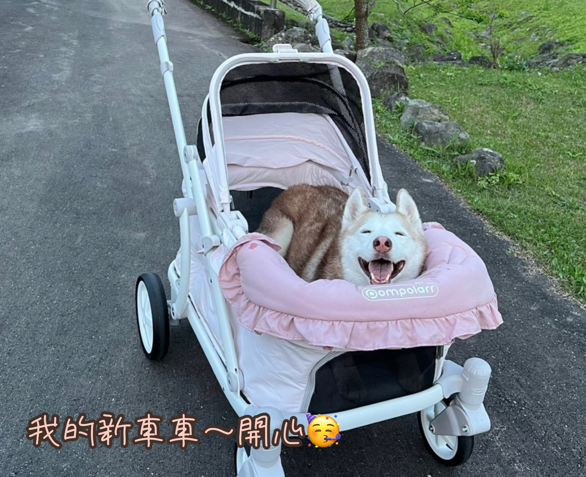 寵物推車推薦。POMPOLARR PET。韓國高質感秒收寵物推車。承重100公斤還能上捷運。