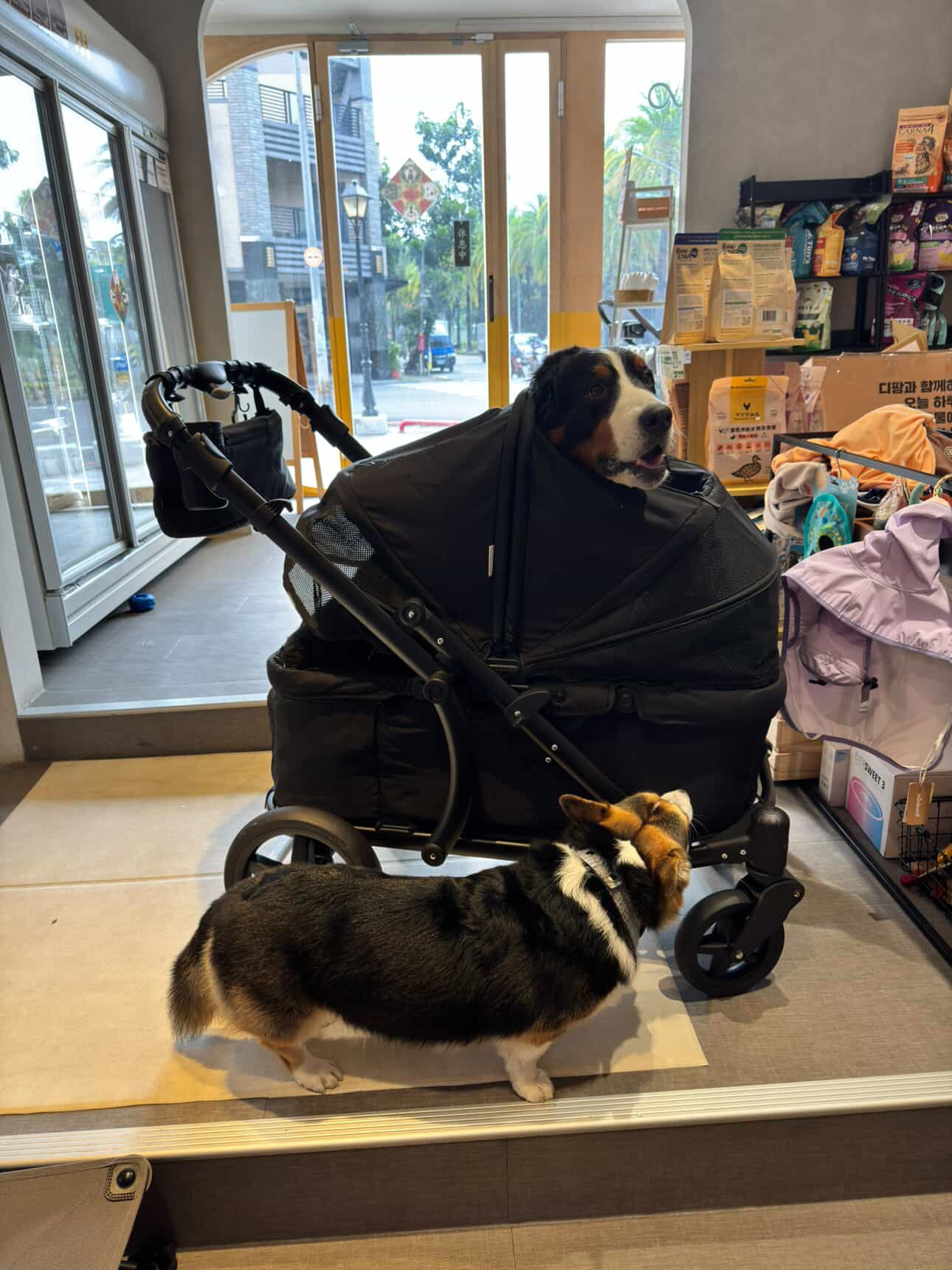 48216F57-FA4A-4F6F-91AF-ABD3467F65CE