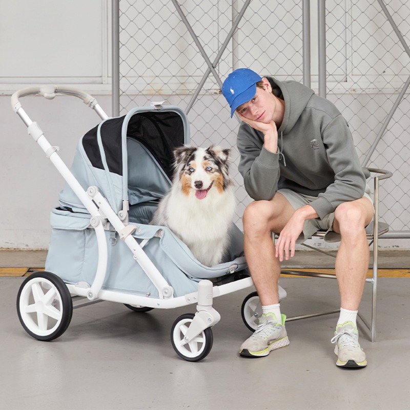 Pompolarr Deluxe 與 Classic 差在哪？大型犬推車尺寸、重量與收折完整比較