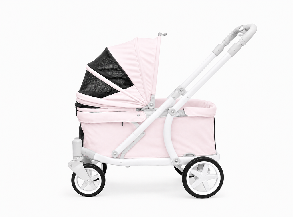 CE6094D1-9E16-4F3A-99F1-F94708922256
