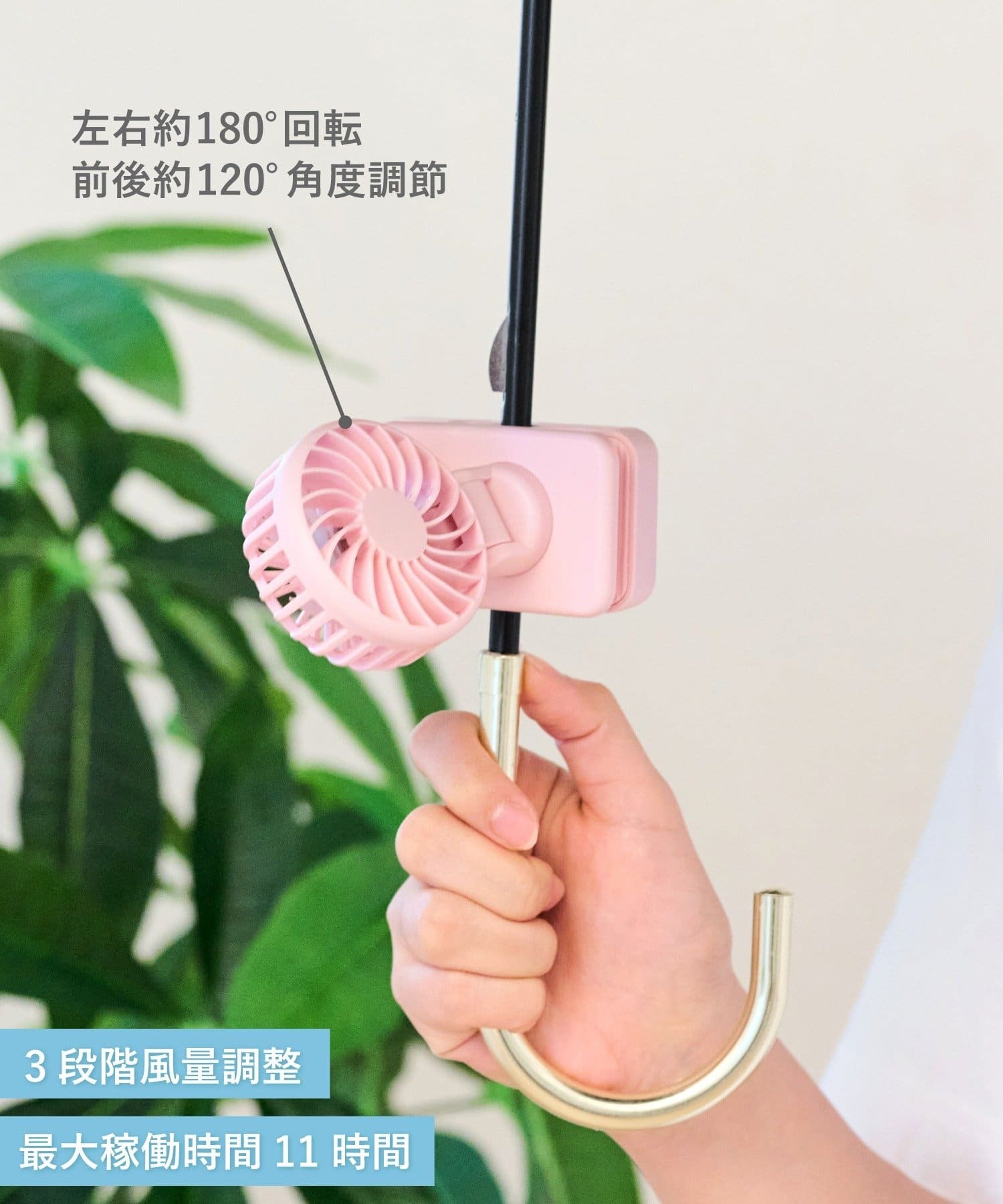 fan