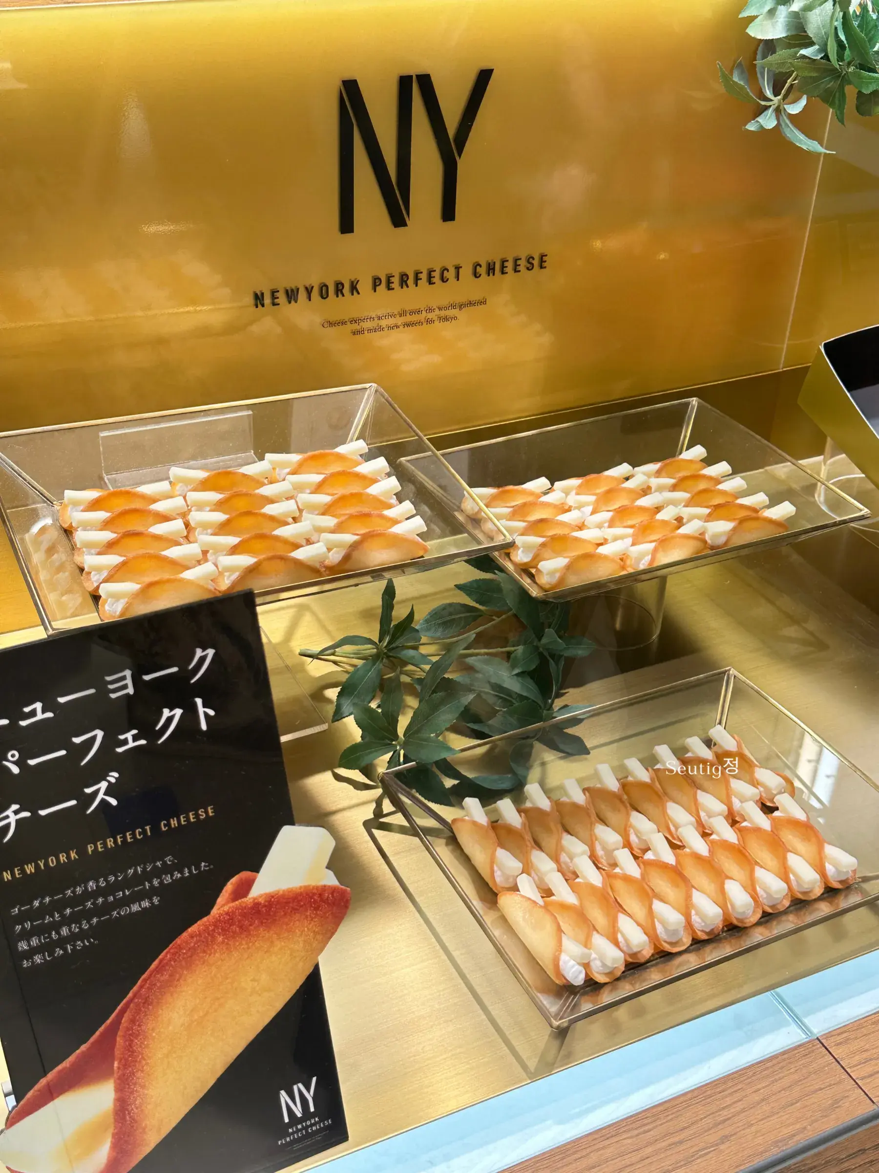 image_E6F3268E-3F20-441E-8685-D47BE54E8702_1746537184