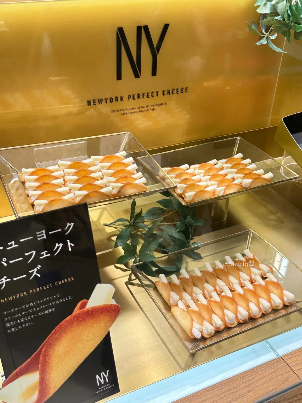 image_E6F3268E-3F20-441E-8685-D47BE54E8702_1746537184