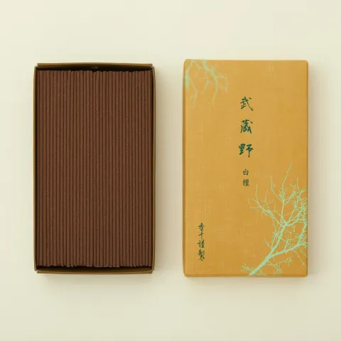 image_71E3A611-FABE-41C2-A5D5-2DC9A4D66A71_1746895821