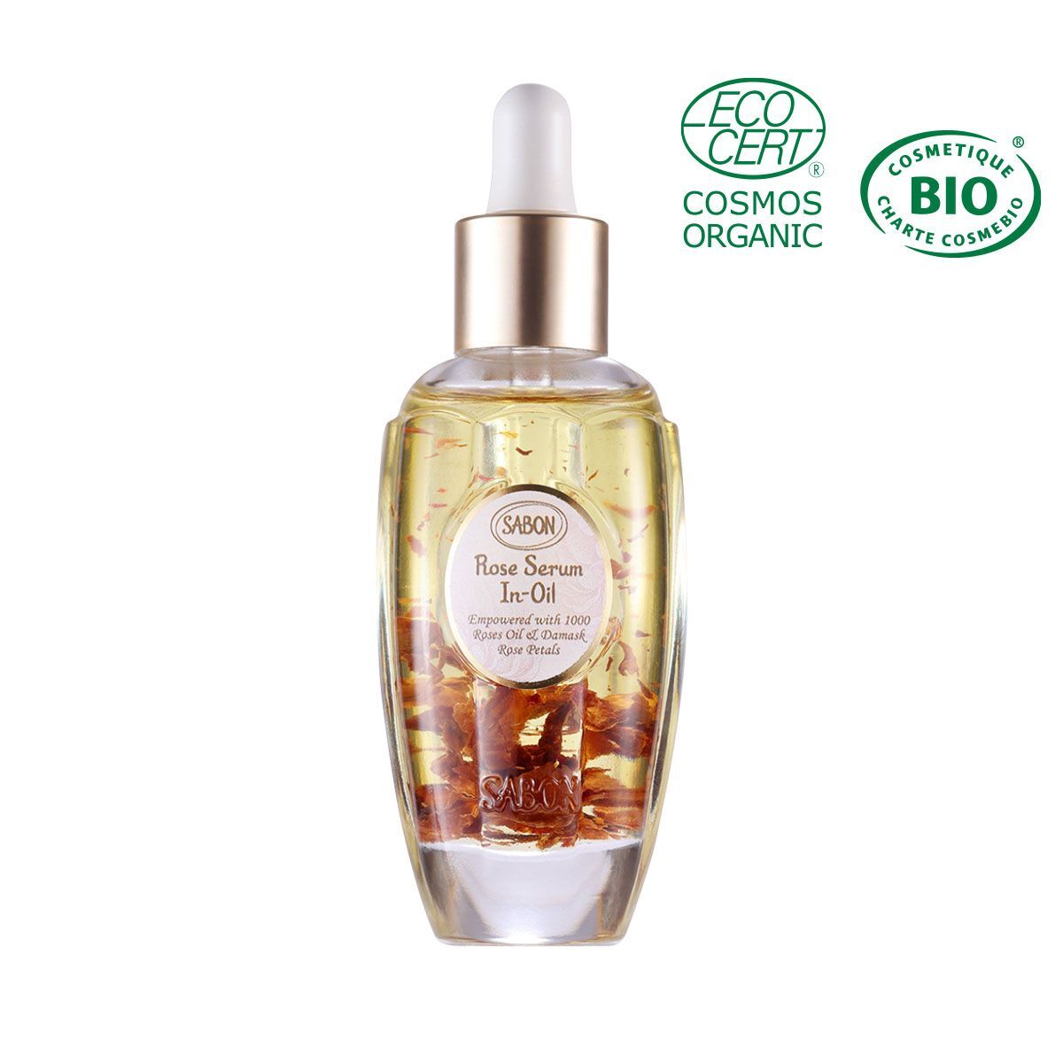 image_21440367-0886-4CC3-A70E-0FEF16DBEA4F_1767941091