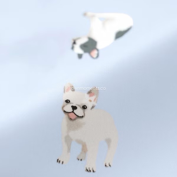 image_C2860E4C-0120-4B14-983E-9593846C809B_1768013317