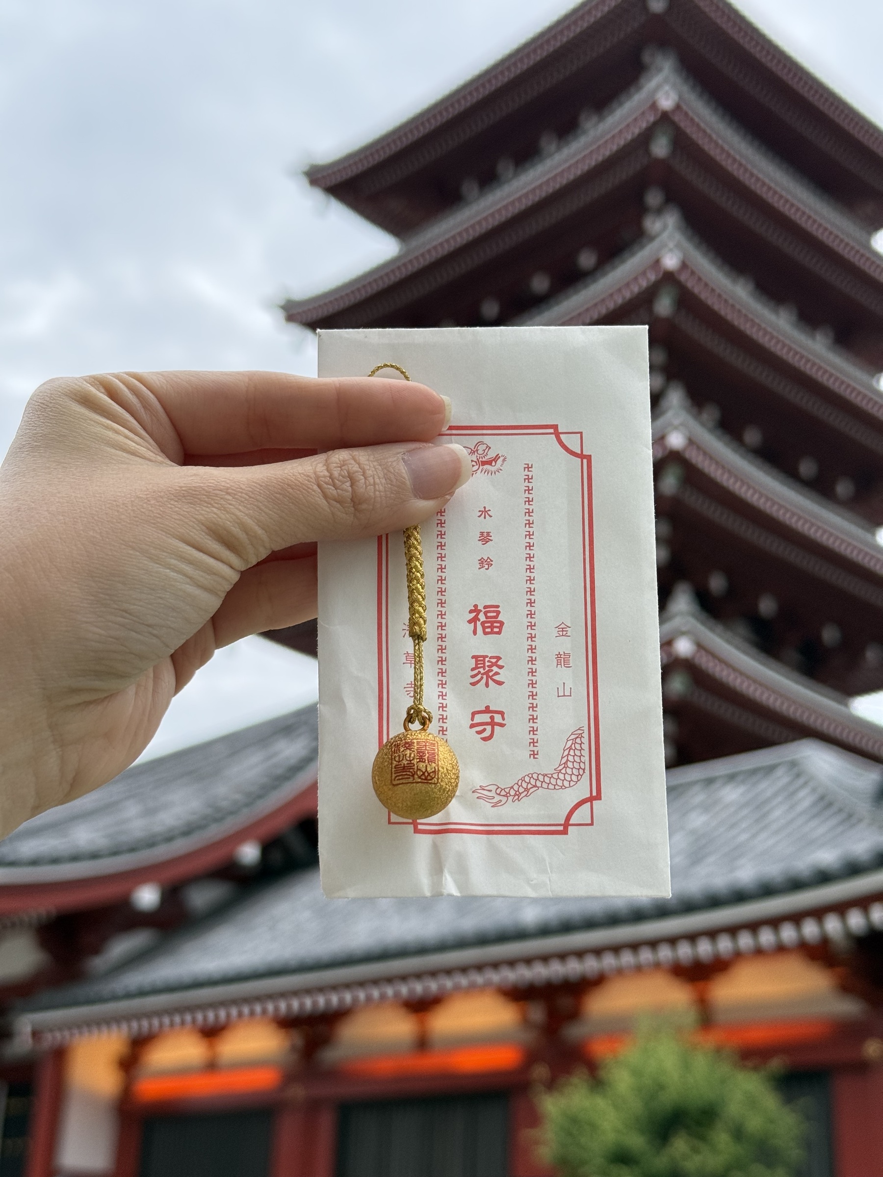 image_8F3C3361-C482-4078-9F2C-5AB256350BC2_1768069169