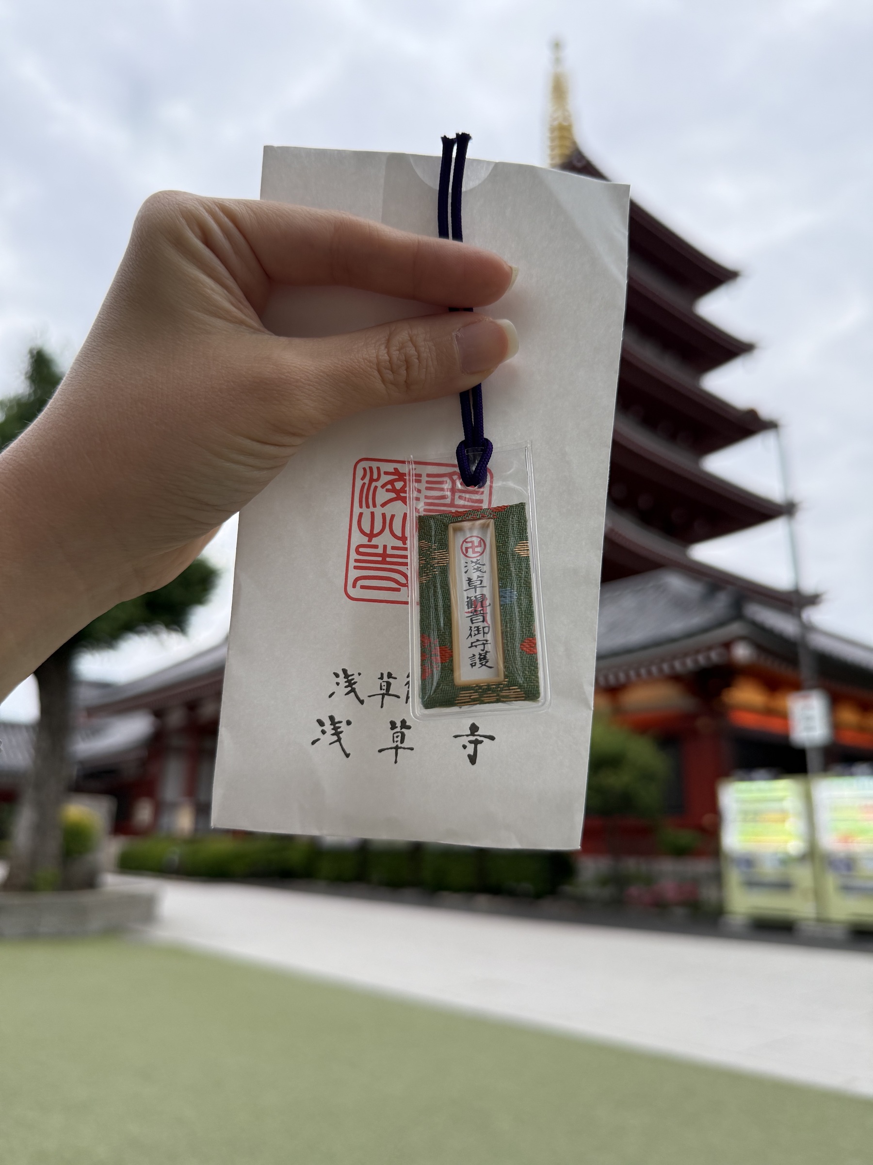 image_66B5D10F-5E47-4A91-A4A1-5DE25F6713B7_1768069259