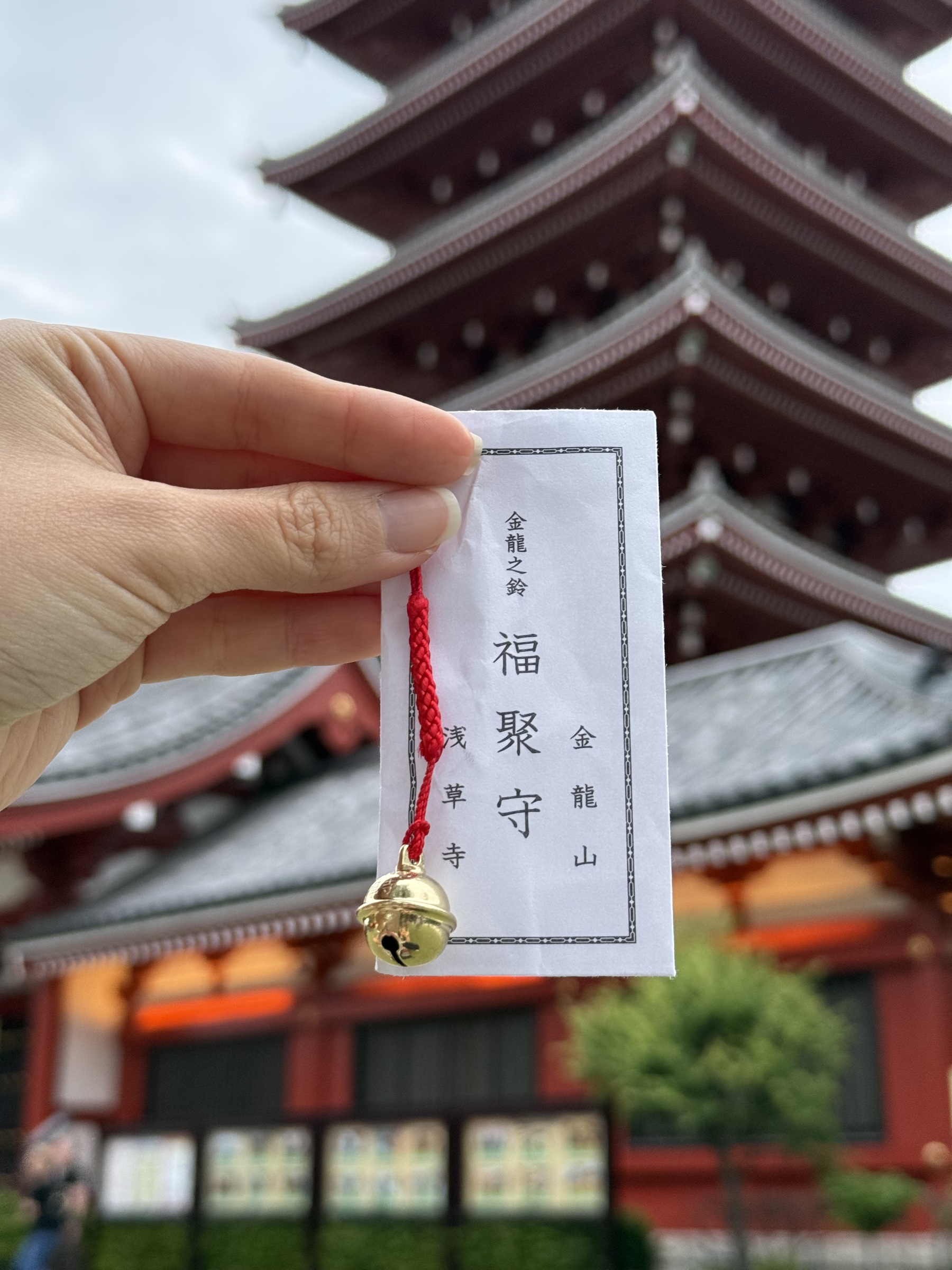 image_071FC45B-A5A4-4768-80C2-2D925FF83385_1768069386